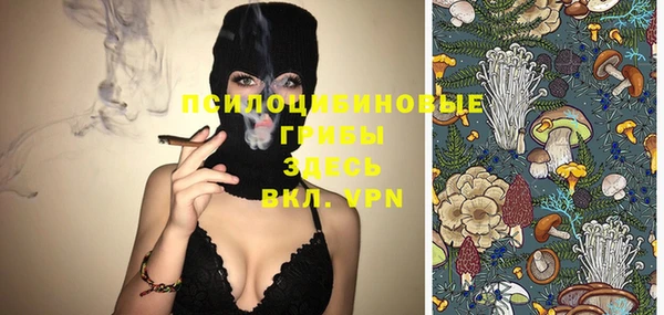 PSILOCYBIN Белоозёрский