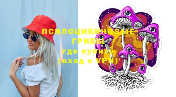 СК Белокуриха
