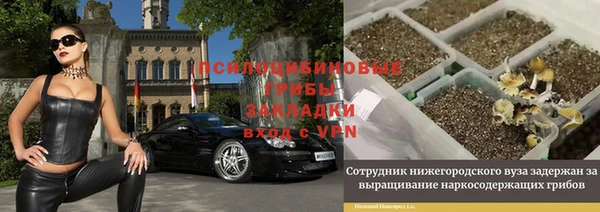 СК Белокуриха