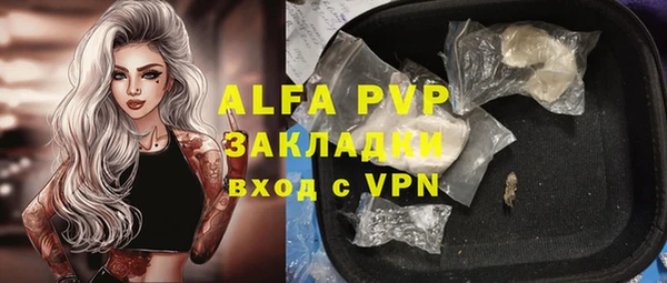 PSILOCYBIN Белоозёрский